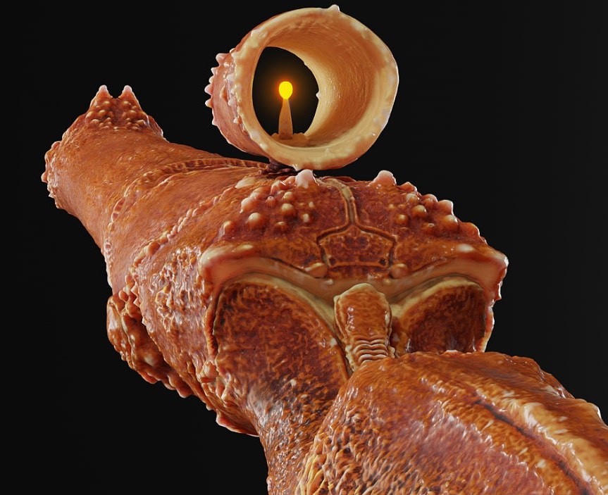 3D художник представил ружьё, сделанное из краба