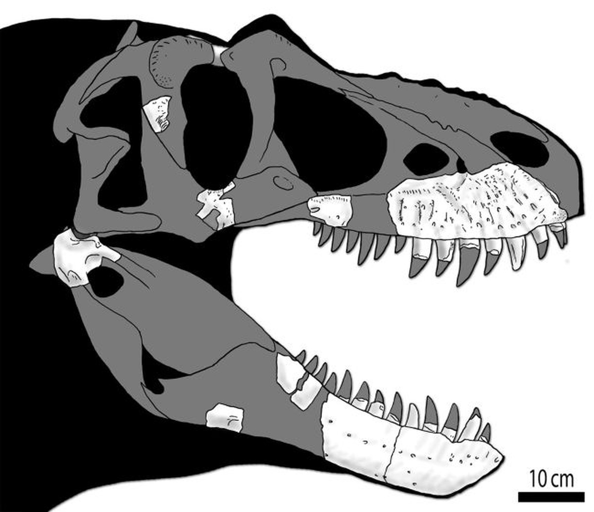 Проект динозавр t rex autopsy