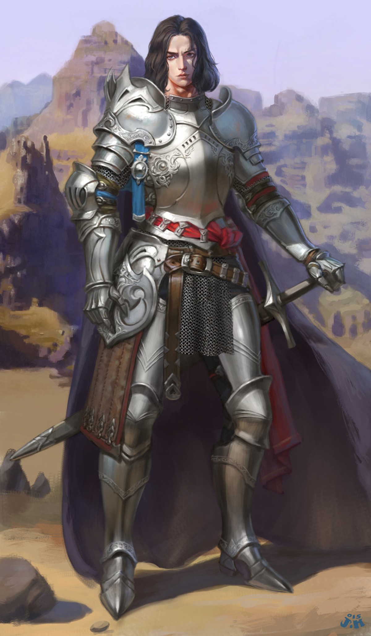 Благородный воитель 40. Паладин. Странствующий рыцарь. Средневековый Паладин.