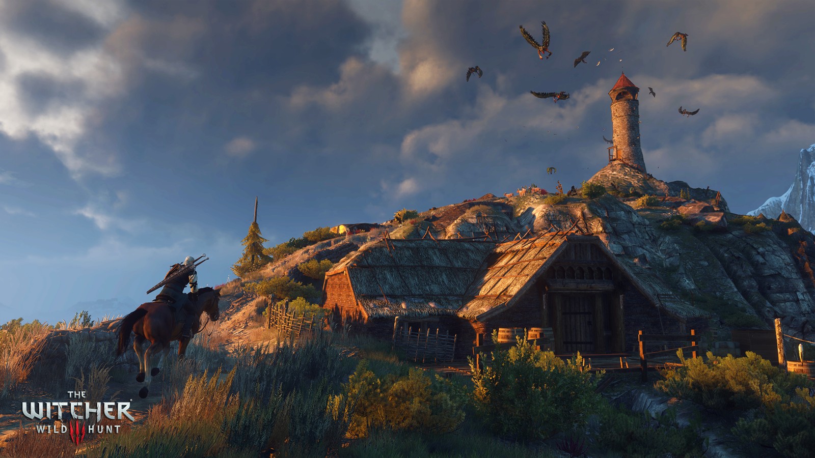 Witcher 3 Купить Pc