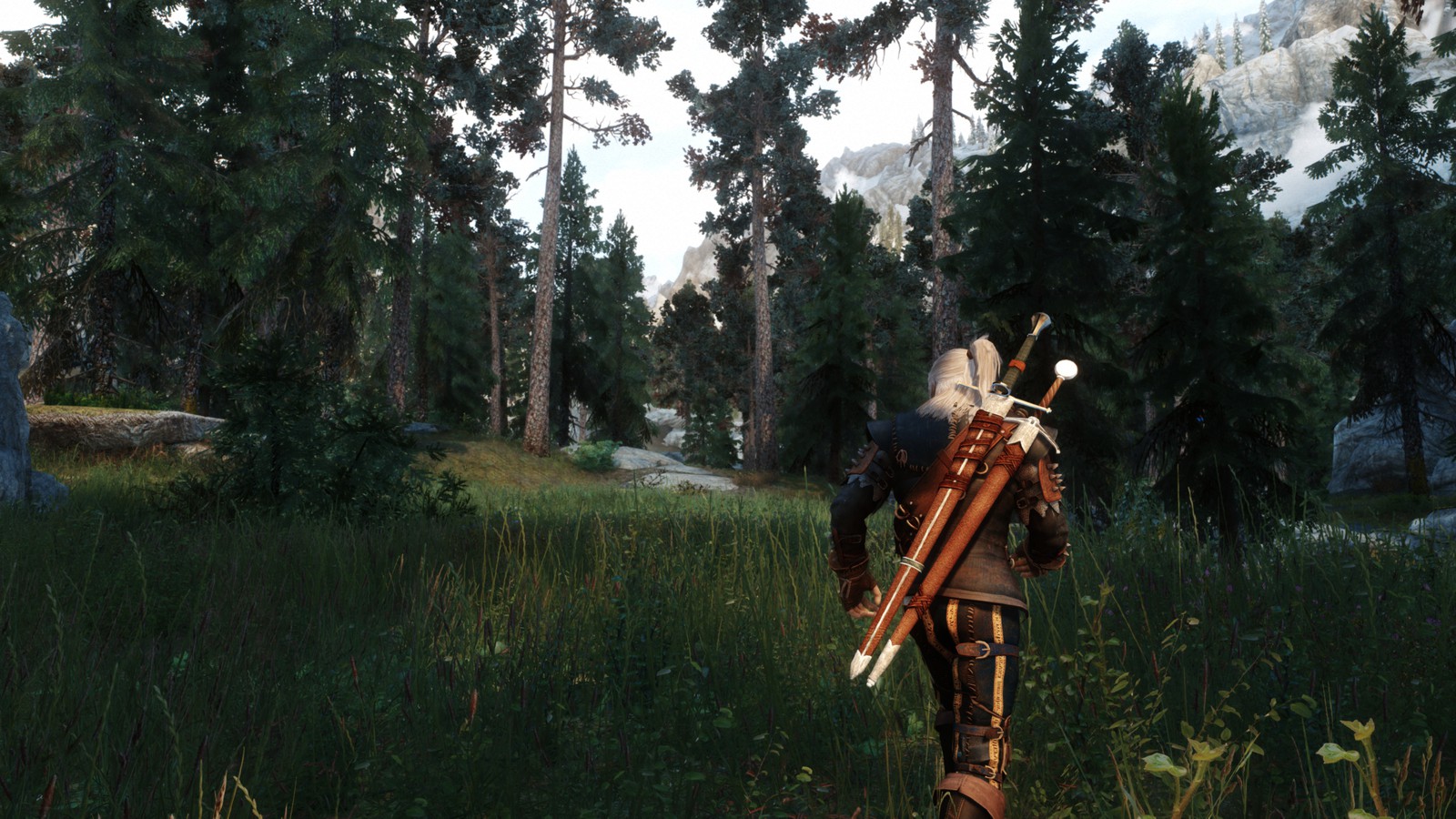 The witcher 3 or skyrim фото 39