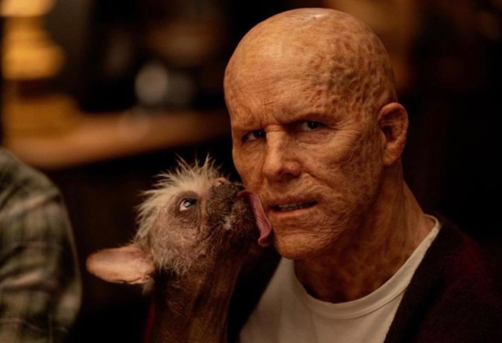 Who is Dogpool? Deadpool 3’s dog sidekick’s comic origins explained - Dexerto